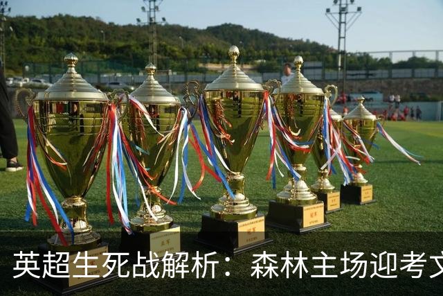 英超生死战解析：森林主场迎考文垂，积分差距下的战术博弈